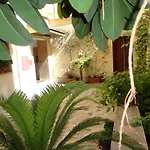 בית הארחה Citta Eterna